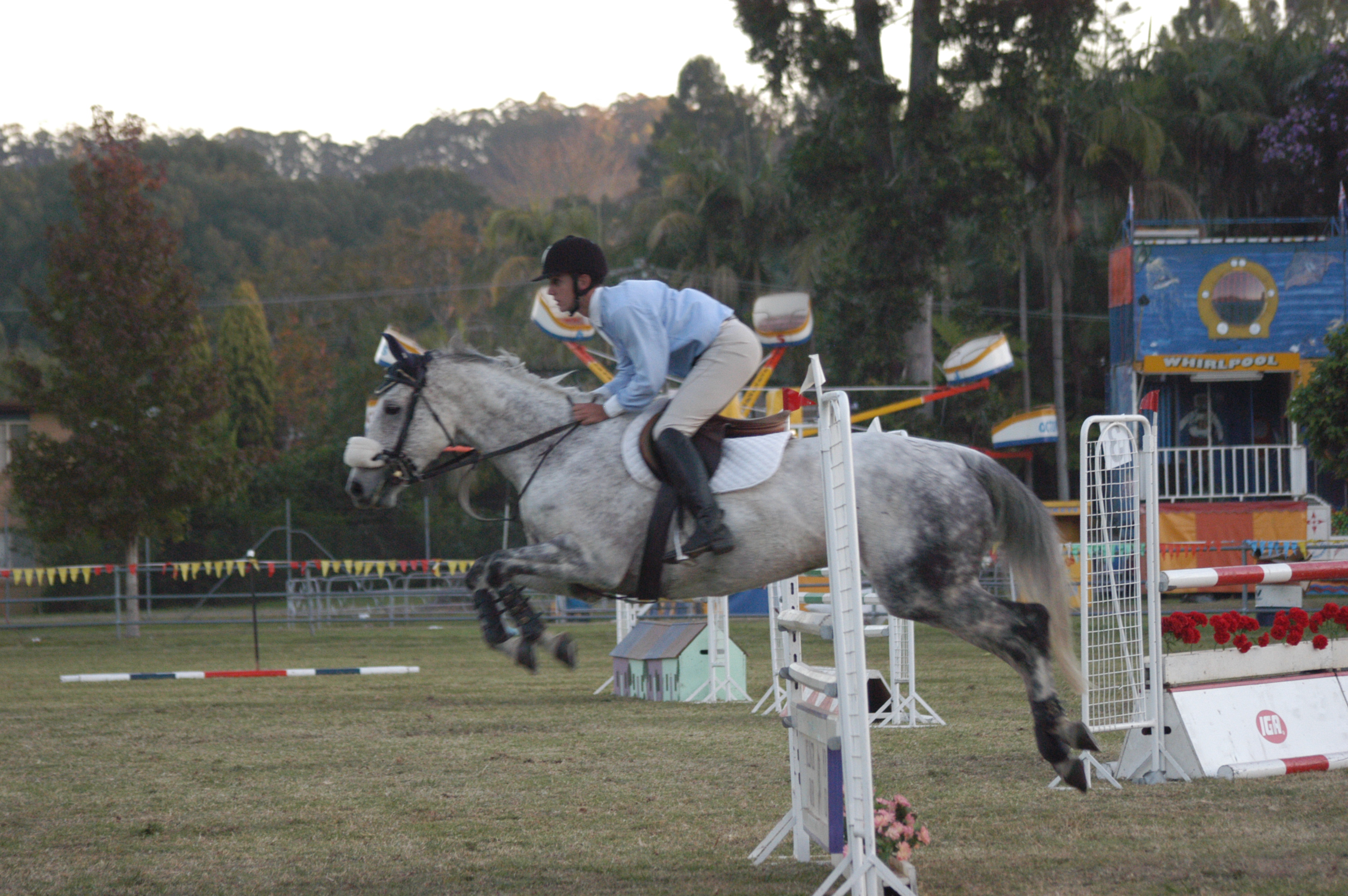 Bellingen Show 2013 – Horse Section