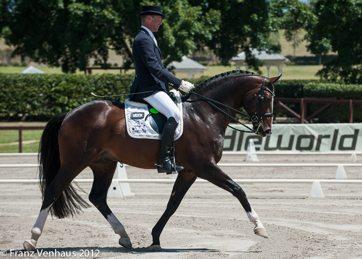 Across The Nullabor And Back Again – All In The Name Of Dressage