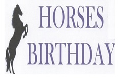 Horses Birthday