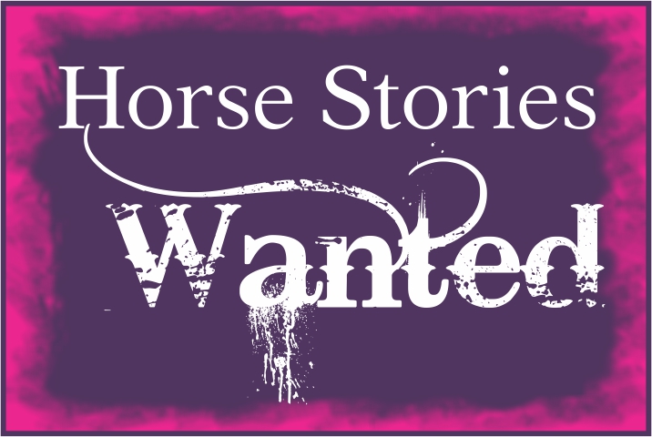 Horse Rescue STORIES WANTED