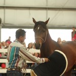 Equitana Education Program