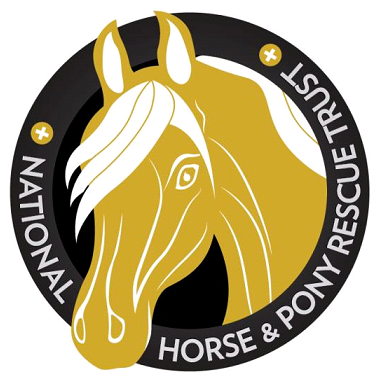 National Horse and Pony Fun Day