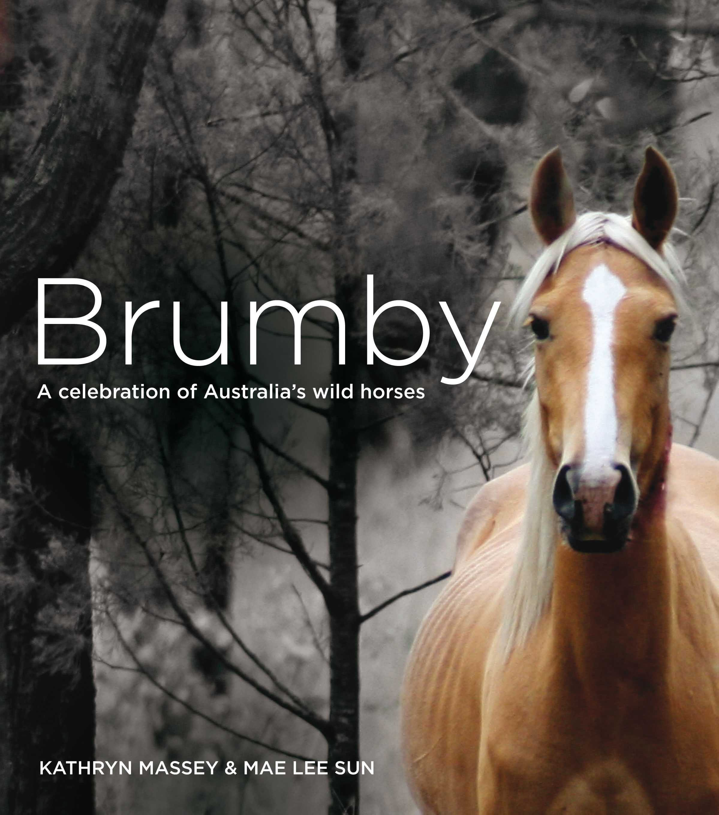 Brumby: A celebration of Australia’s Wild Horses