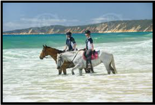 2013 Annual Beach Ride